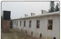 河北廊坊瑞豐保溫雞舍 防火保溫、耐酸堿，打造現(xiàn)代化養(yǎng)殖新標(biāo)桿