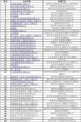2009年中國軟件服務外包企業競爭力排名與分析